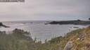 ./images/calvert/foggy-cove/20260511/foggy-cove20260511_183501M.jpg