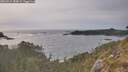 ./images/calvert/foggy-cove/20260511/foggy-cove20260511_184001M.jpg