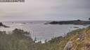 ./images/calvert/foggy-cove/20260511/foggy-cove20260511_184501M.jpg