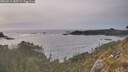 ./images/calvert/foggy-cove/20260511/foggy-cove20260511_185501M.jpg