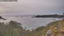 ./images/calvert/foggy-cove/20260511/foggy-cove20260511_190001M.jpg