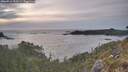 ./images/calvert/foggy-cove/20260511/foggy-cove20260511_200501M.jpg