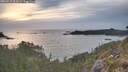 ./images/calvert/foggy-cove/20260511/foggy-cove20260511_205501M.jpg