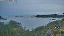 ./images/calvert/foggy-cove/20260512/foggy-cove20260512_053501M.jpg
