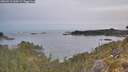 ./images/calvert/foggy-cove/20260512/foggy-cove20260512_060502M.jpg