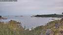 ./images/calvert/foggy-cove/20260512/foggy-cove20260512_064501M.jpg