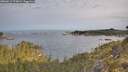 ./images/calvert/foggy-cove/20260512/foggy-cove20260512_073002M.jpg