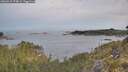 ./images/calvert/foggy-cove/20260512/foggy-cove20260512_074001M.jpg