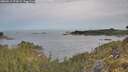 ./images/calvert/foggy-cove/20260512/foggy-cove20260512_074501M.jpg