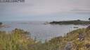 ./images/calvert/foggy-cove/20260512/foggy-cove20260512_080502M.jpg