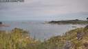 ./images/calvert/foggy-cove/20260512/foggy-cove20260512_081501M.jpg