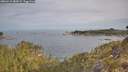 ./images/calvert/foggy-cove/20260512/foggy-cove20260512_082001M.jpg