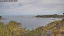 ./images/calvert/foggy-cove/20260512/foggy-cove20260512_083002M.jpg