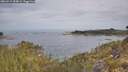 ./images/calvert/foggy-cove/20260512/foggy-cove20260512_084001M.jpg