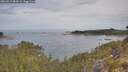 ./images/calvert/foggy-cove/20260512/foggy-cove20260512_084501M.jpg