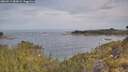 ./images/calvert/foggy-cove/20260512/foggy-cove20260512_085001M.jpg