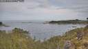 ./images/calvert/foggy-cove/20260512/foggy-cove20260512_090501M.jpg