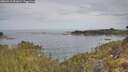 ./images/calvert/foggy-cove/20260512/foggy-cove20260512_091001M.jpg