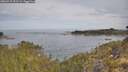 ./images/calvert/foggy-cove/20260512/foggy-cove20260512_091501M.jpg