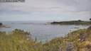 ./images/calvert/foggy-cove/20260512/foggy-cove20260512_092002M.jpg