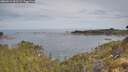 ./images/calvert/foggy-cove/20260512/foggy-cove20260512_092501M.jpg