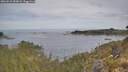 ./images/calvert/foggy-cove/20260512/foggy-cove20260512_093001M.jpg