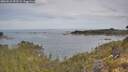 ./images/calvert/foggy-cove/20260512/foggy-cove20260512_093501M.jpg