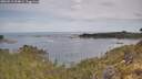 ./images/calvert/foggy-cove/20260512/foggy-cove20260512_094001M.jpg