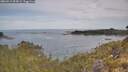 ./images/calvert/foggy-cove/20260512/foggy-cove20260512_094501M.jpg