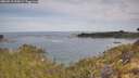 ./images/calvert/foggy-cove/20260512/foggy-cove20260512_095001M.jpg