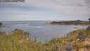 ./images/calvert/foggy-cove/20260512/foggy-cove20260512_095501M.jpg