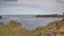 ./images/calvert/foggy-cove/20260512/foggy-cove20260512_100501M.jpg