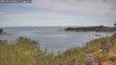 ./images/calvert/foggy-cove/20260512/foggy-cove20260512_101002M.jpg