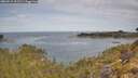 ./images/calvert/foggy-cove/20260512/foggy-cove20260512_101501M.jpg