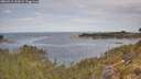 ./images/calvert/foggy-cove/20260512/foggy-cove20260512_102001M.jpg