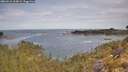 ./images/calvert/foggy-cove/20260512/foggy-cove20260512_103001M.jpg