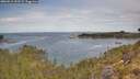 ./images/calvert/foggy-cove/20260512/foggy-cove20260512_103501M.jpg