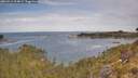 ./images/calvert/foggy-cove/20260512/foggy-cove20260512_104001M.jpg