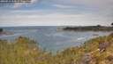 ./images/calvert/foggy-cove/20260512/foggy-cove20260512_104501M.jpg