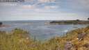 ./images/calvert/foggy-cove/20260512/foggy-cove20260512_105501M.jpg