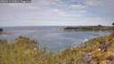 ./images/calvert/foggy-cove/20260512/foggy-cove20260512_110001M.jpg