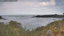 ./images/calvert/foggy-cove/20260512/foggy-cove20260512_111001M.jpg