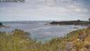 ./images/calvert/foggy-cove/20260512/foggy-cove20260512_112001M.jpg