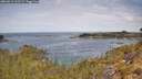 ./images/calvert/foggy-cove/20260512/foggy-cove20260512_112502M.jpg
