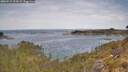 ./images/calvert/foggy-cove/20260512/foggy-cove20260512_113002M.jpg