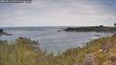 ./images/calvert/foggy-cove/20260512/foggy-cove20260512_113502M.jpg