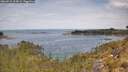 ./images/calvert/foggy-cove/20260512/foggy-cove20260512_114501M.jpg
