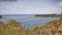 ./images/calvert/foggy-cove/20260512/foggy-cove20260512_115002M.jpg
