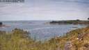 ./images/calvert/foggy-cove/20260512/foggy-cove20260512_115501M.jpg