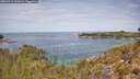 ./images/calvert/foggy-cove/20260512/foggy-cove20260512_120002M.jpg